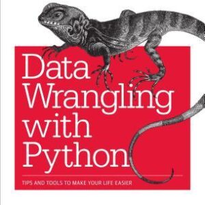 Data Wrangling with Python: Tips and Tools to Make Your Life